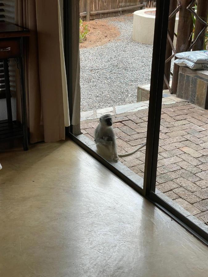 Willa The Cheetah Rest Hoedspruit Zewnętrze zdjęcie
